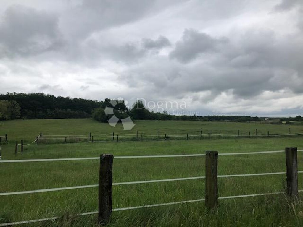 Image 18