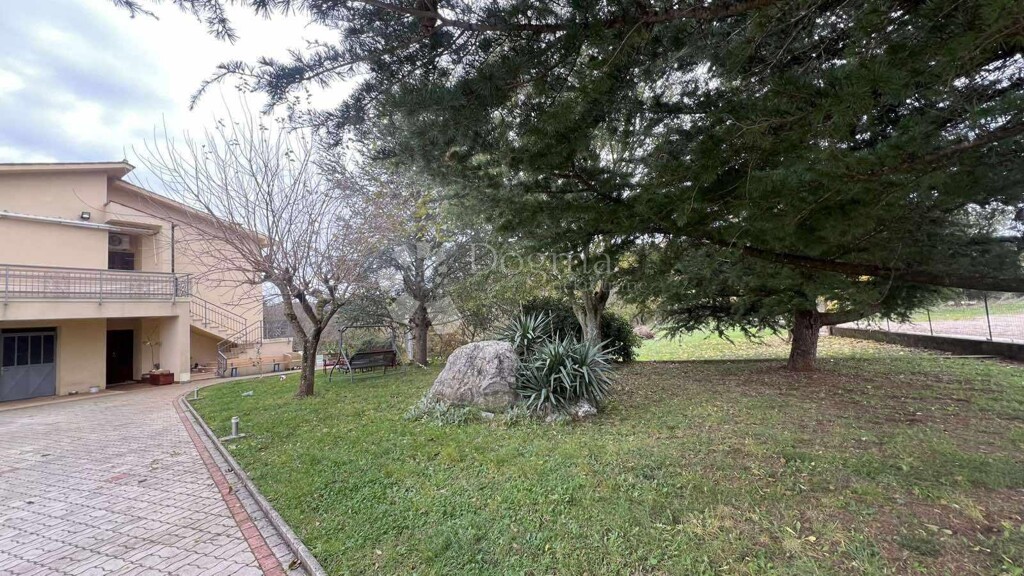 Image 21
