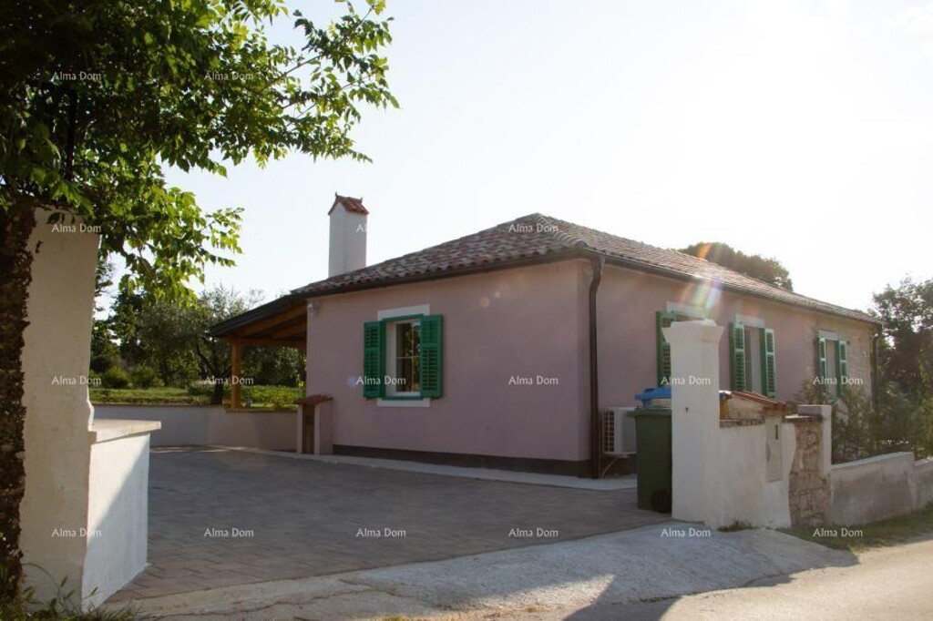 Image 12