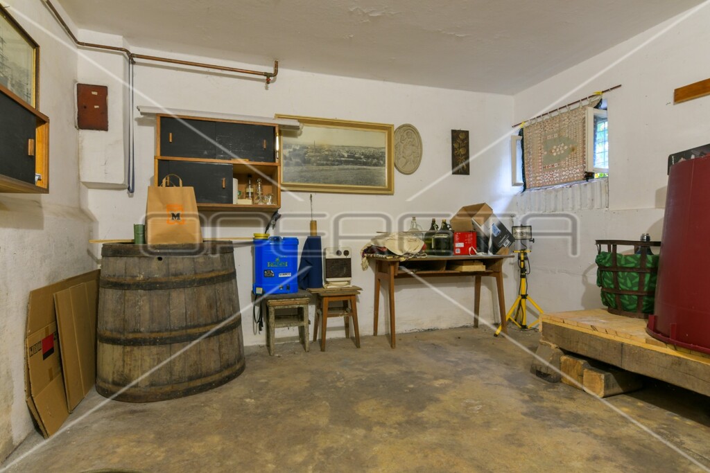 Image 21