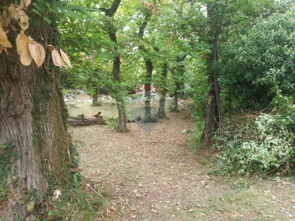 Image 5410190 - 4