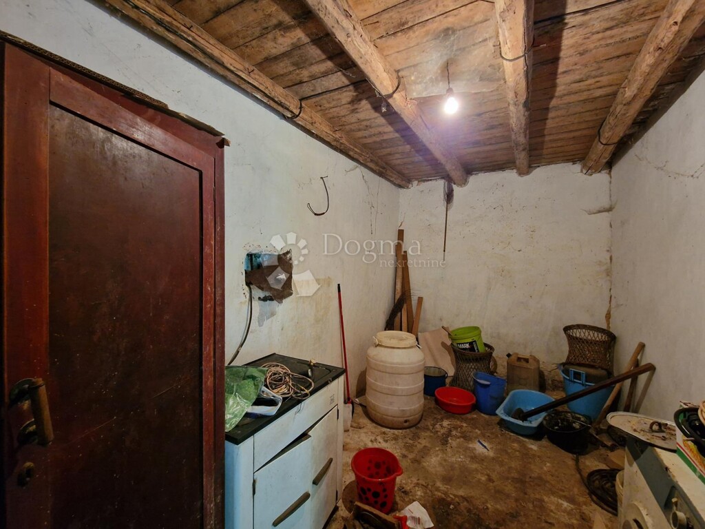 Image 15
