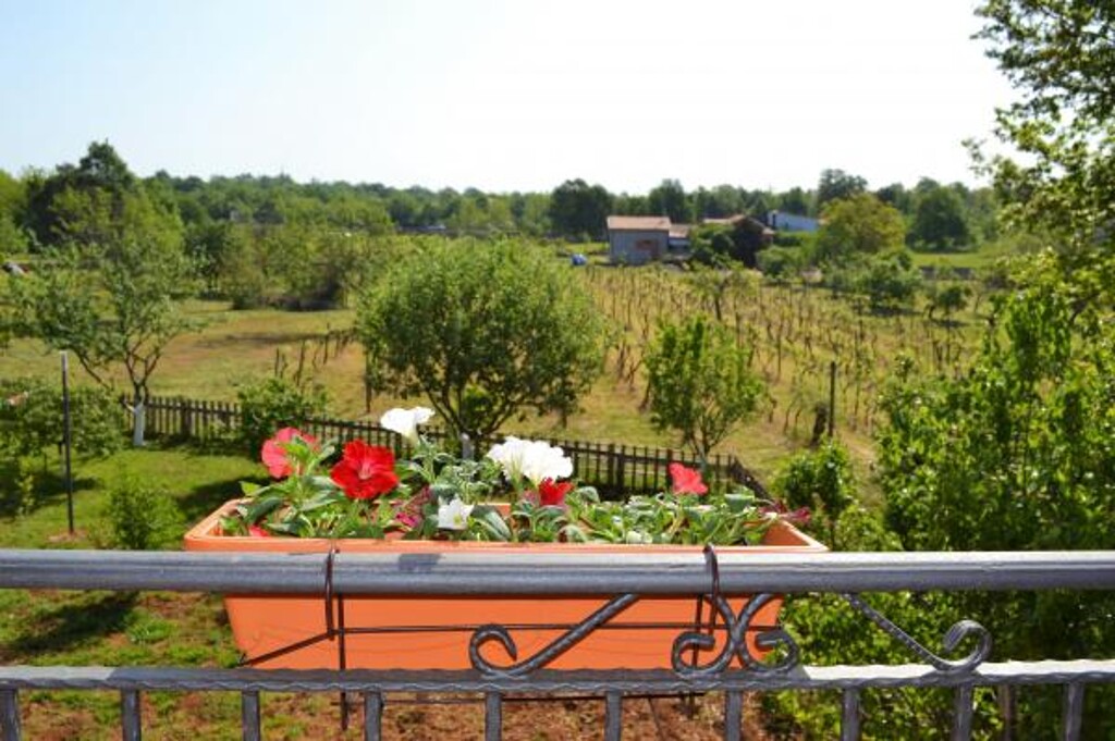 Image 3814671 - 3