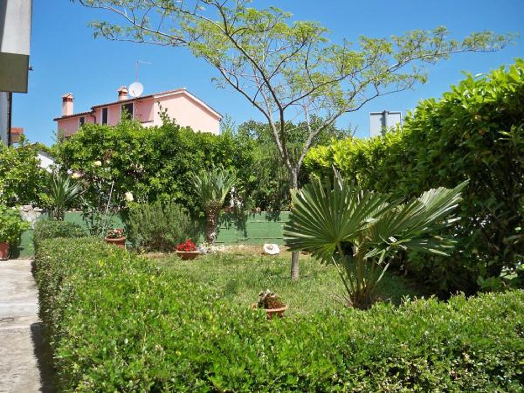 Image 3811299 - 4