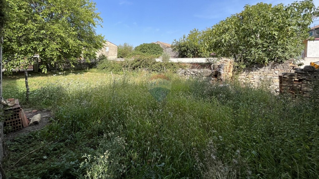 Image 5429371 - 10
