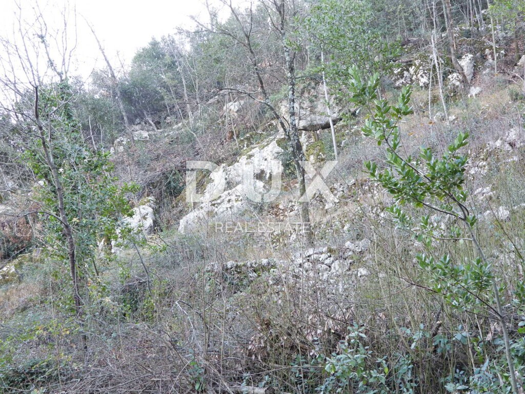 Image 17