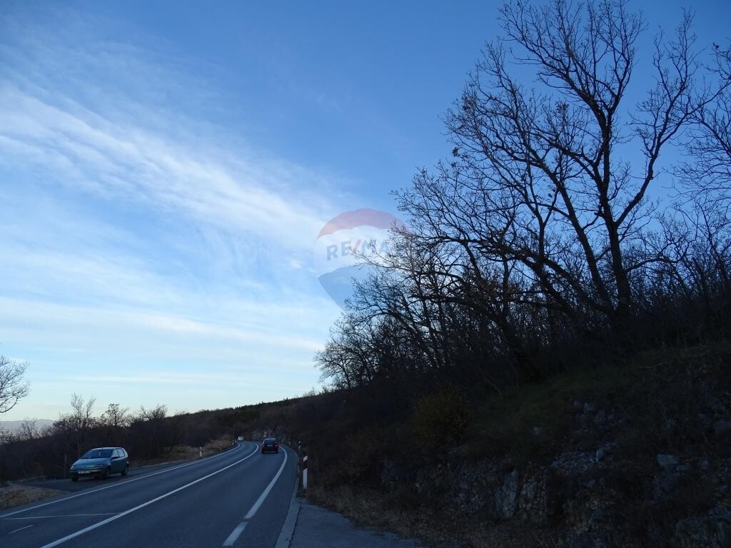 Image 5410607 - 1
