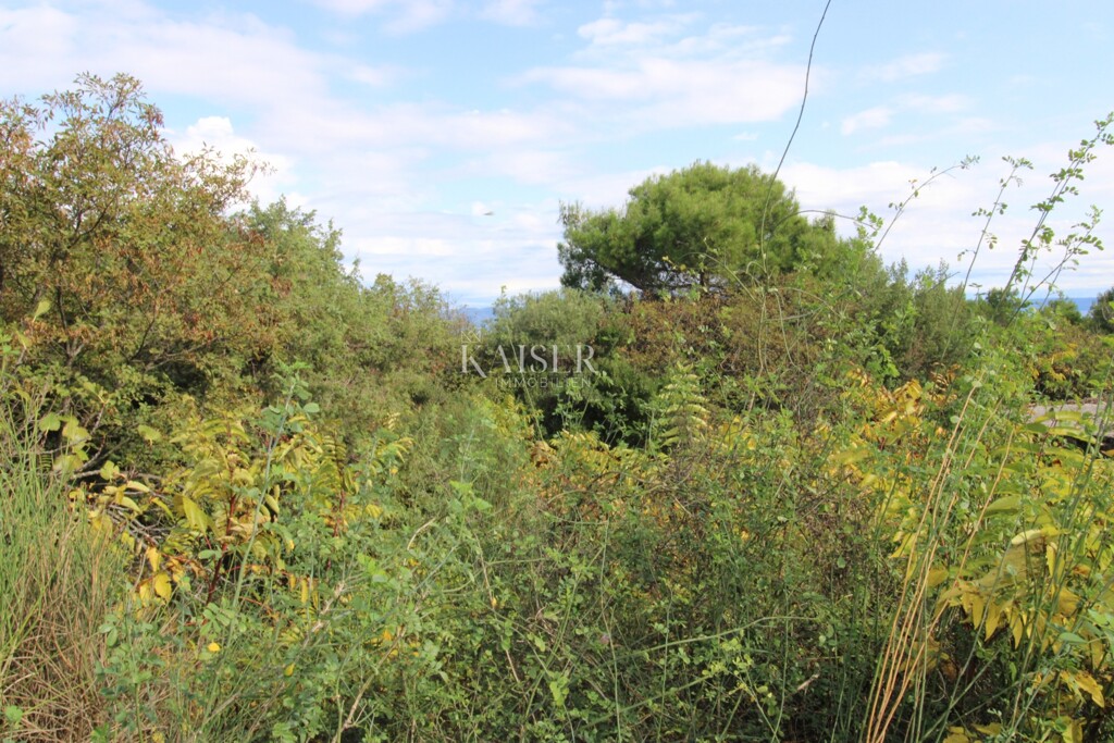 Image 16