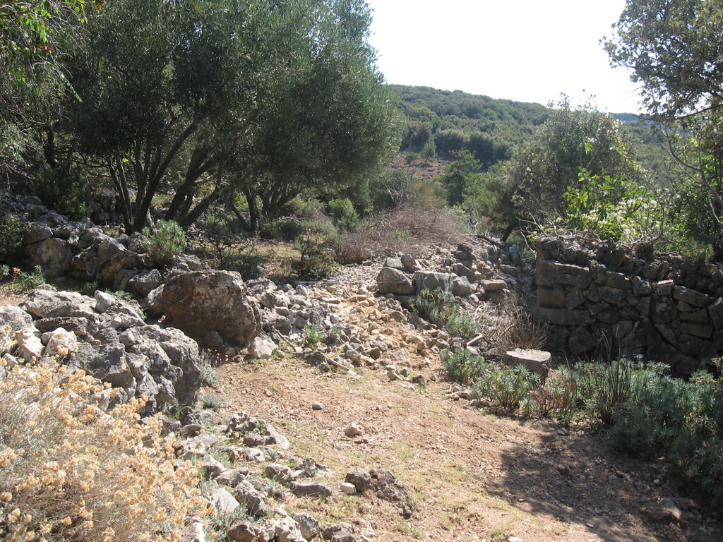 Image 6