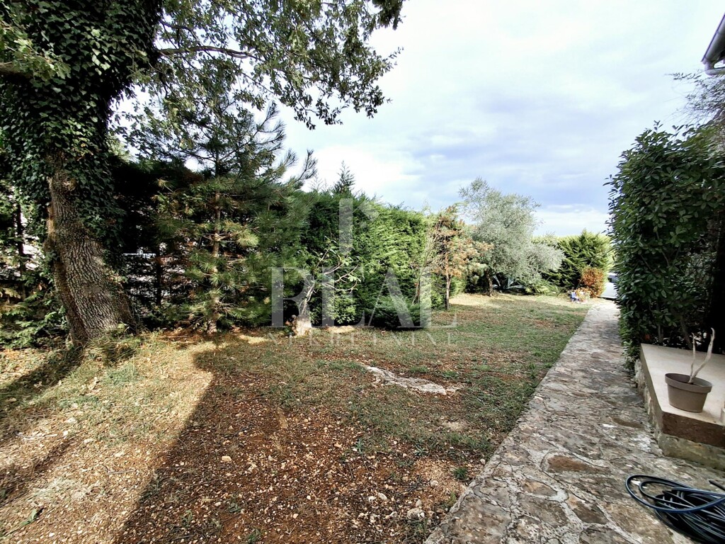 Image 15