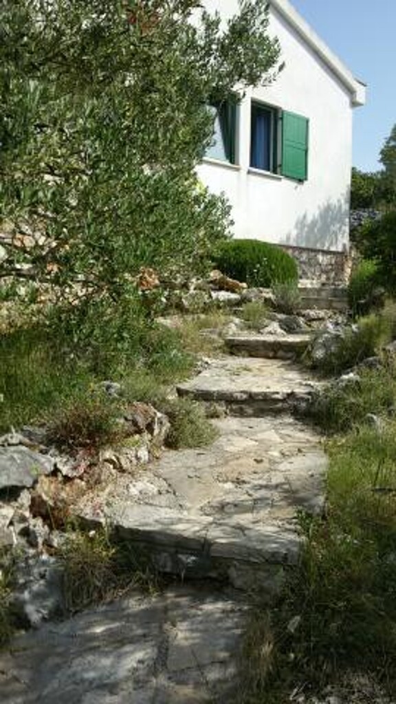 Image 3823621 - 10