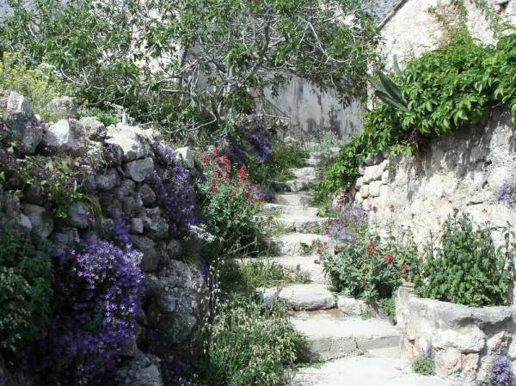 Image 3838686 - 8