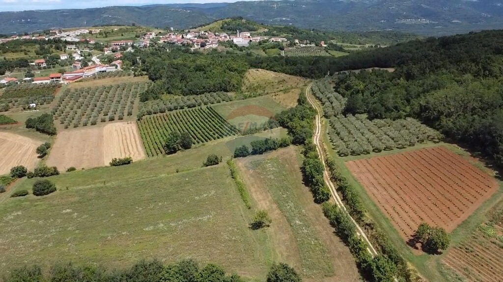 Image 5429478 - 1