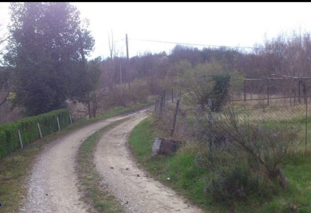 Image 21