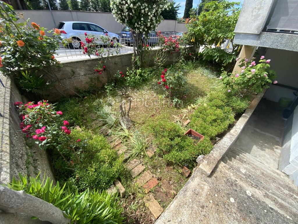 Image 15