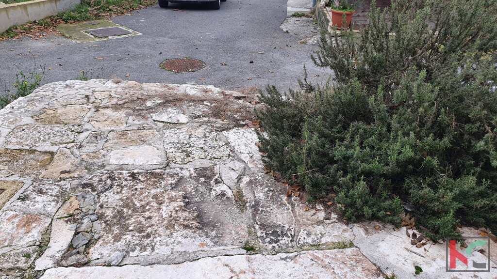 Image 14
