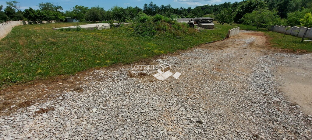 Image 13