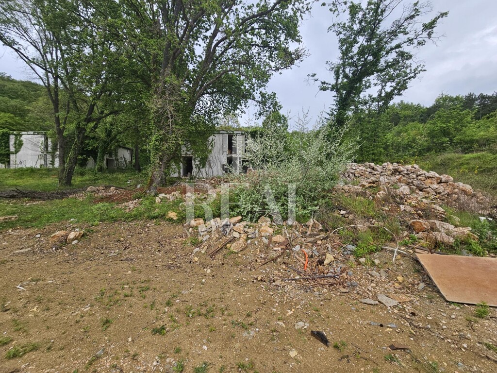 Image 8
