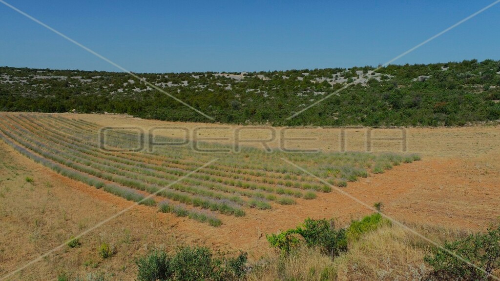 Image 13