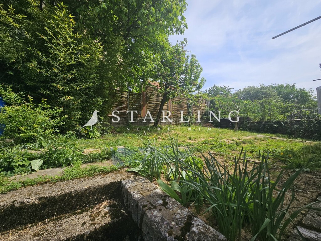 Image 15