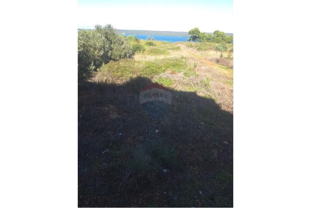 Image 9