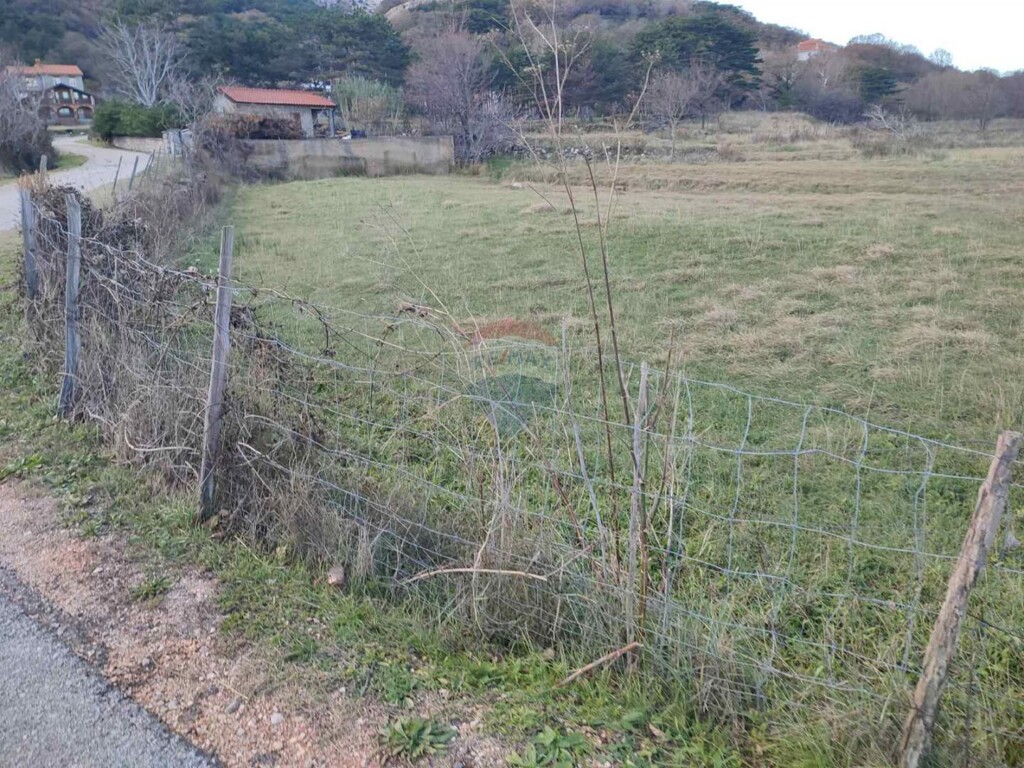 Image 5429006 - 4