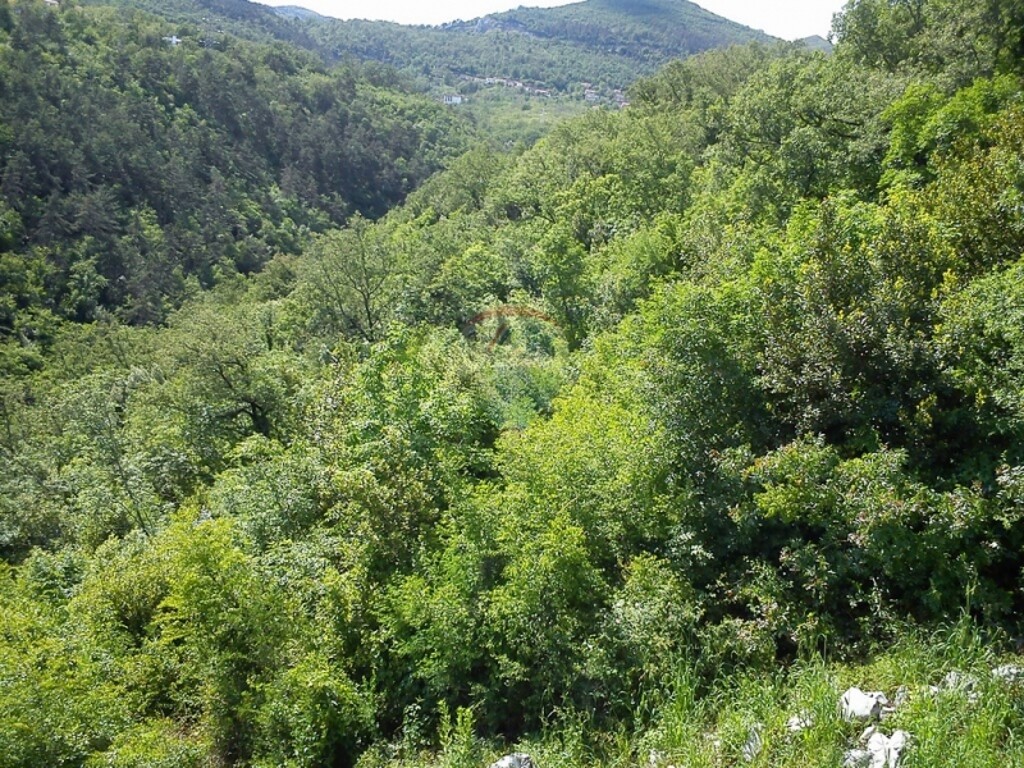 Image 5411037 - 5