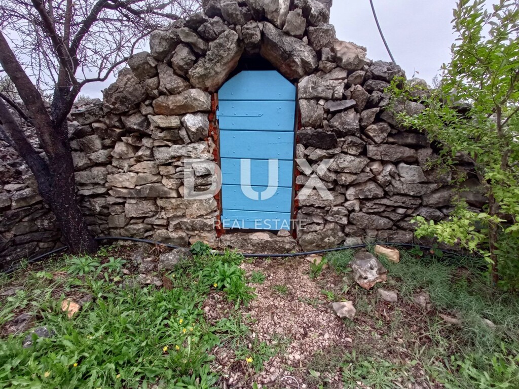 Image 22