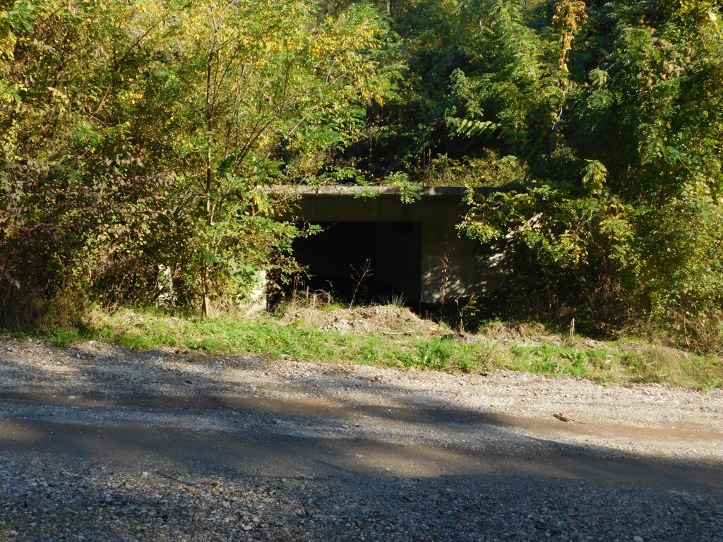 Image 10