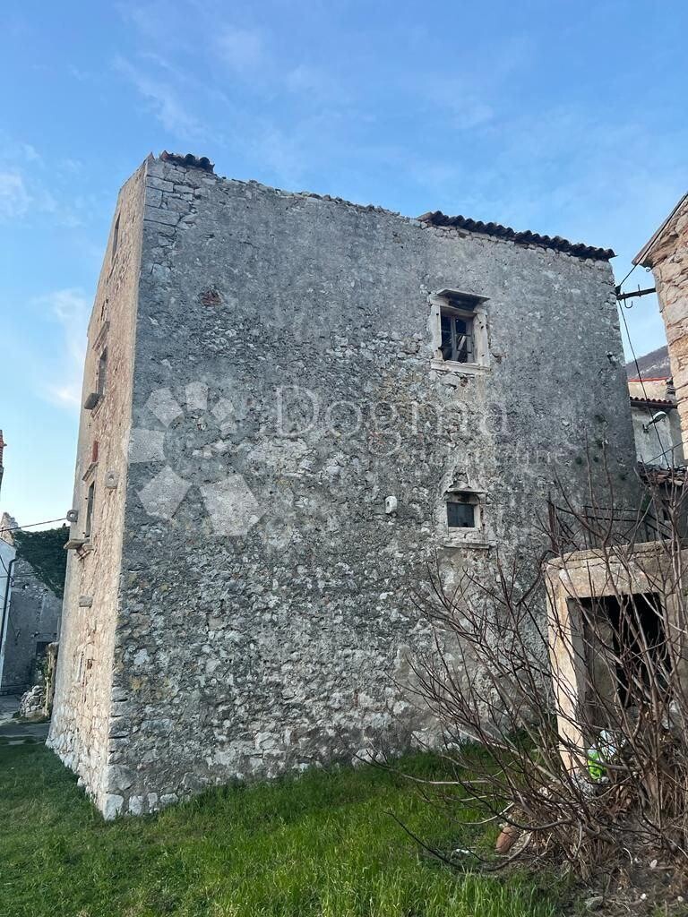 Image 19