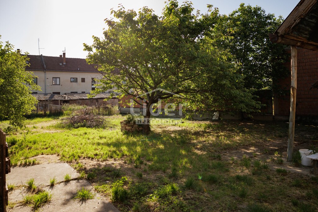 Image 22