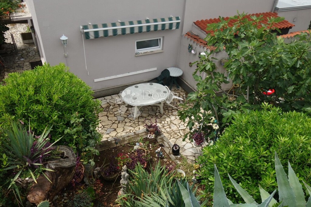 Image 15