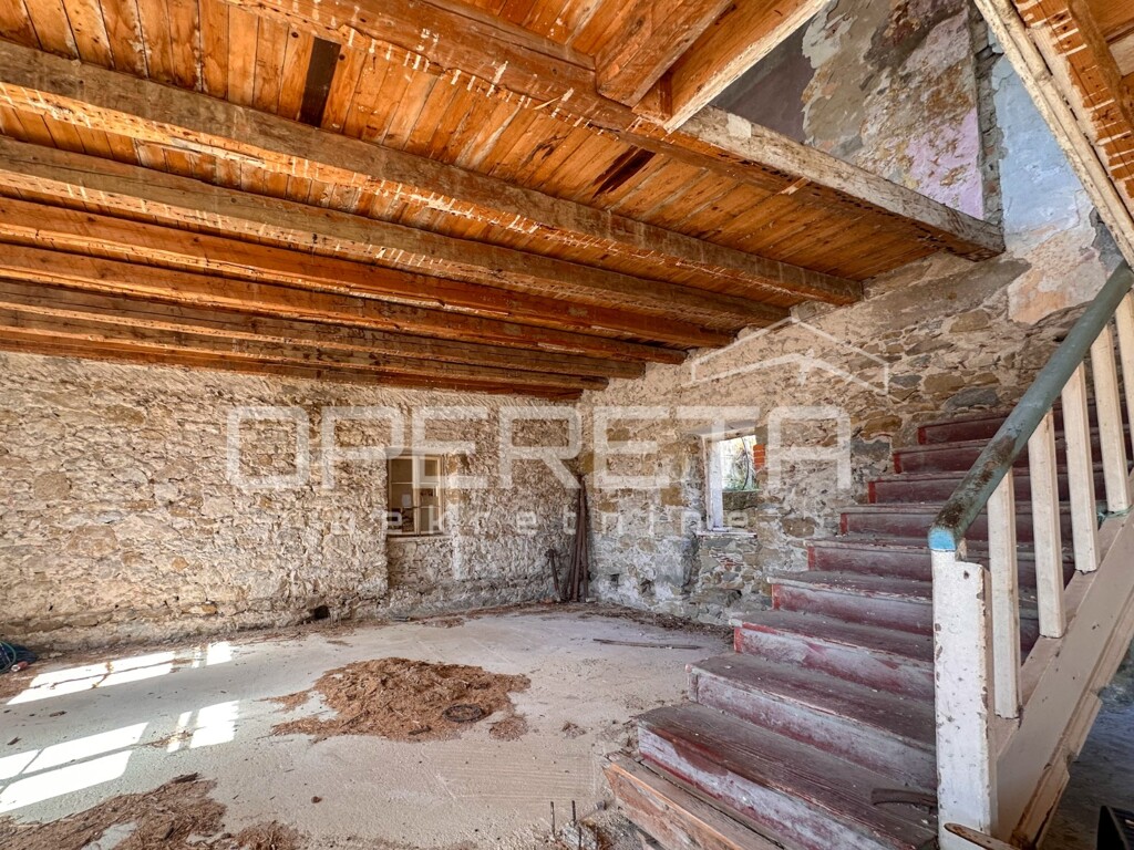 Image 13