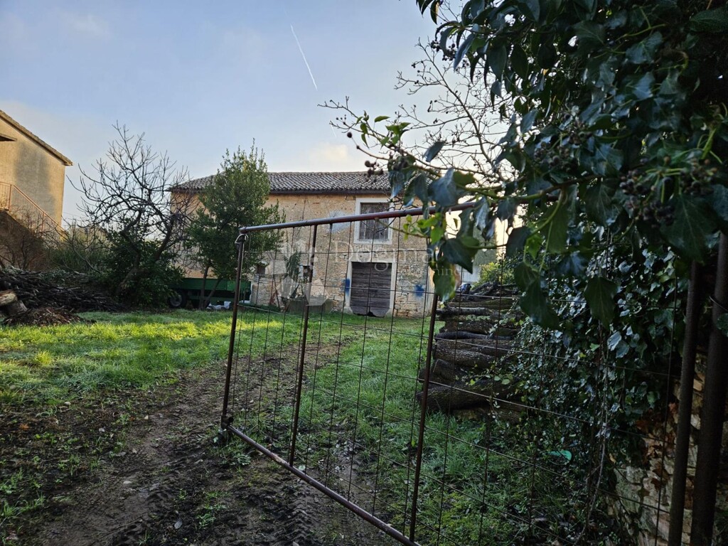 Image 18