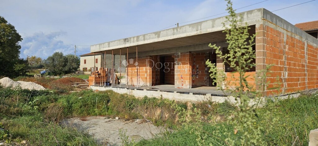 Image 22