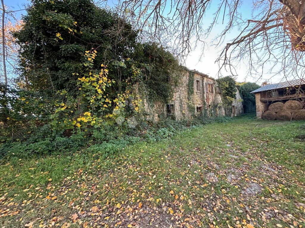 Image 14