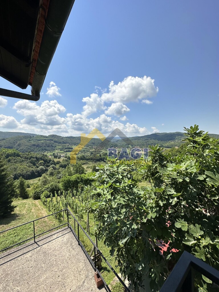 Image 12