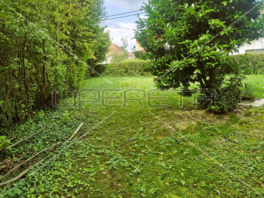 Image 14