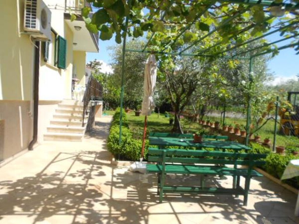 Image 3810583 - 2