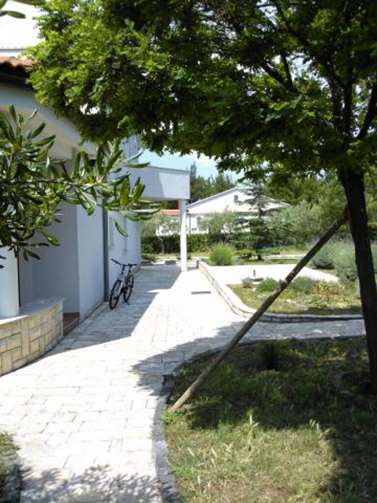 Image 3811241 - 18