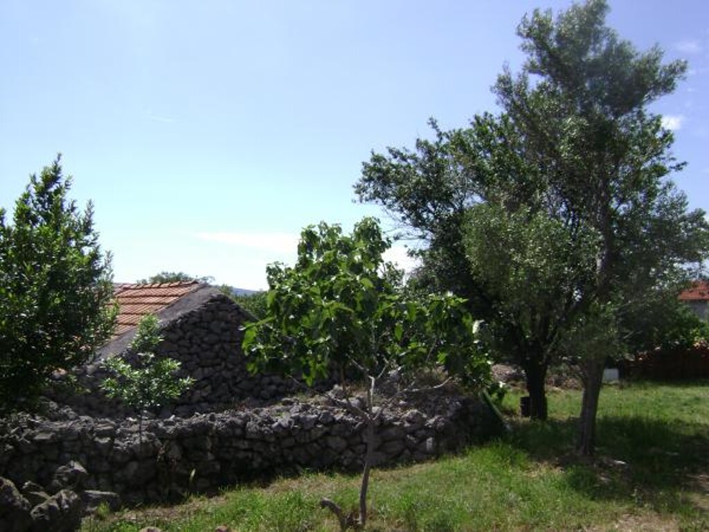 Image 3812949 - 20