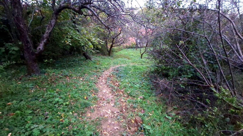 Image 5429079 - 12