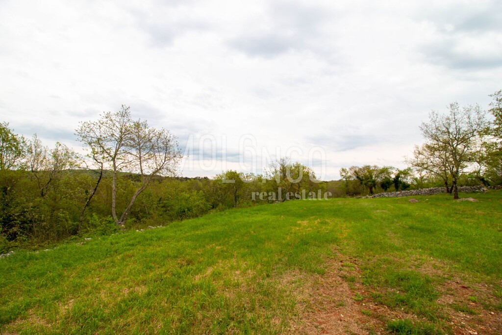 Image 14
