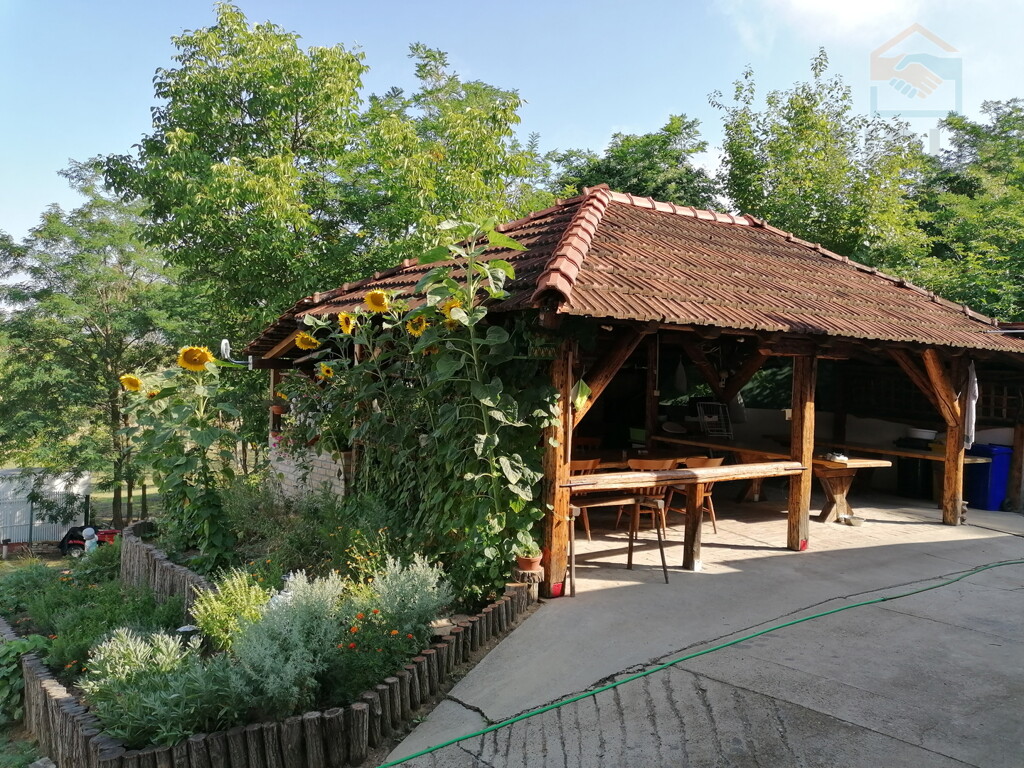 Image 13