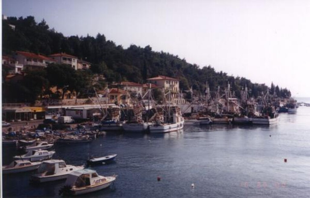 Image 3810659 - 10