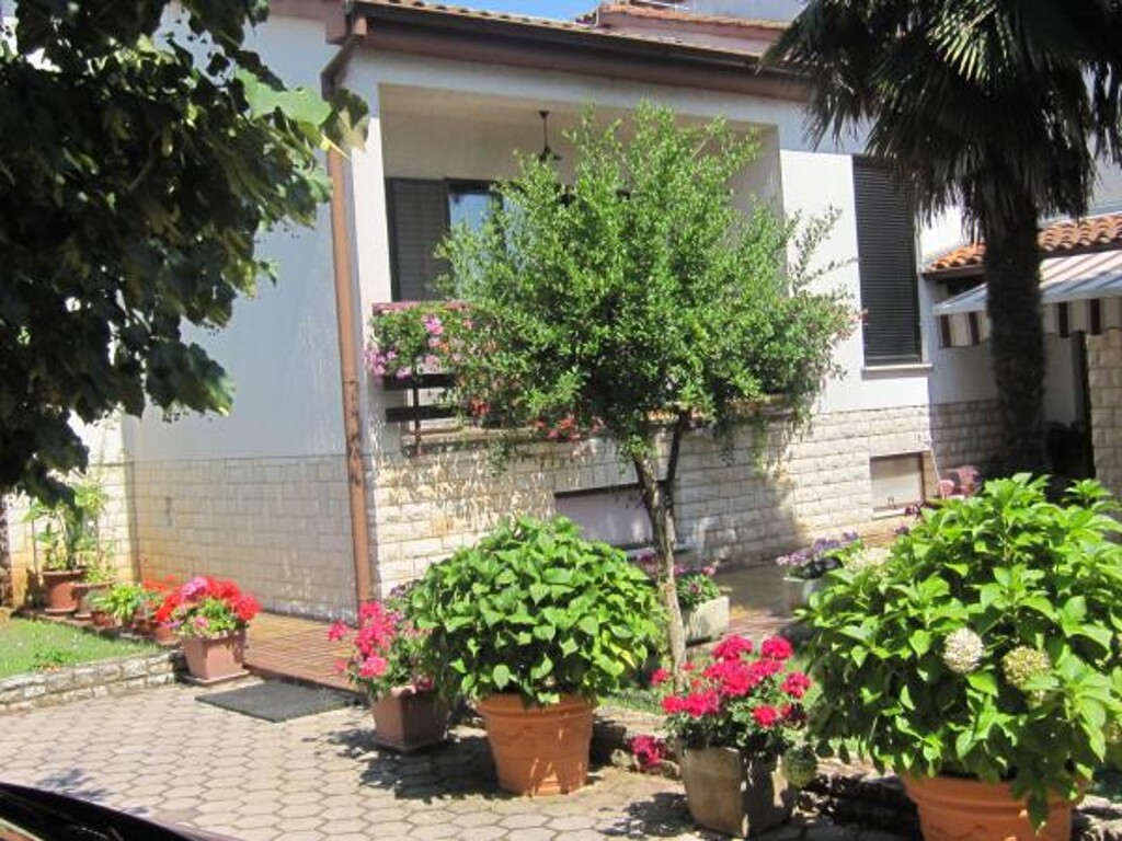 Image 3812149 - 7