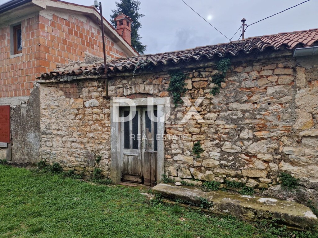 Image 9