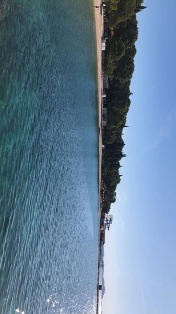 Image 3813735 - 19