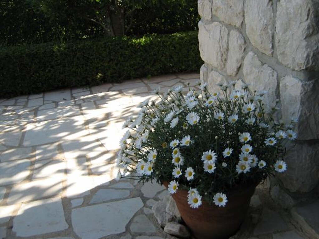 Image 3812688 - 6
