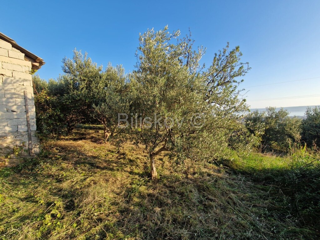 Image 6151242 - 7